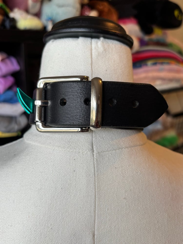 Image of Rainbow Spiked Black Leather Collar