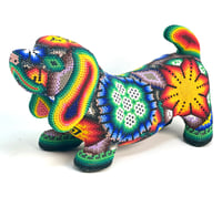 Image 1 of Wiener dog 