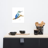 Image 1 of Little Bee Hummingbird Watercolour-Print
