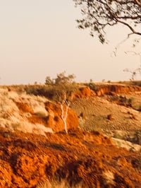 Image 3 of shifting desert