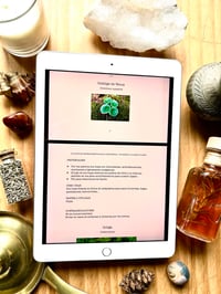 Image 5 of Ebook Plantas silvestres & comestibles 