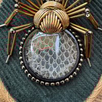 Image 2 of Snake skin spider (c, 4x5 inches)