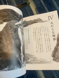 Image 4 of  A Dreamland of Pleasure, Ran Akiyoshi, 2024.