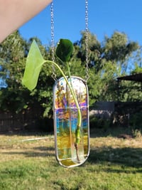 Image 2 of Iridescent Amber Propagation Holder