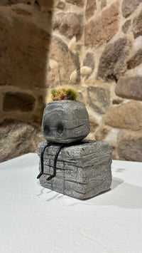 Image 3 of STONS #1 Espera