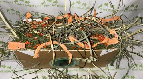 Image of Carrot Patch Enrichment Forage Toy