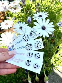 Image 4 of DALMATIAN STUDS