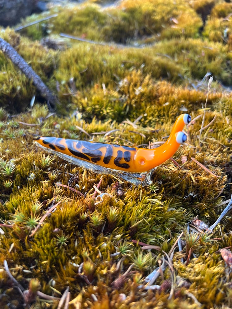 Image of Orange and Brown Boro Slug