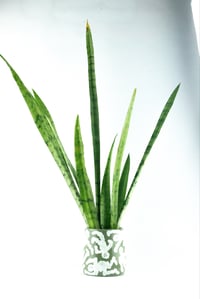 Image 3 of BALACLAVA MAN PLANT POT 