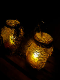 Image 5 of Swamp Jars