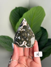 Image 14 of CHOOSE YOUR OWN SEA JASPER FLAME -MADAGASCAR-