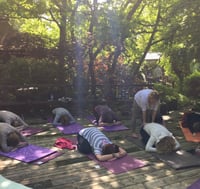 Image 15 of Japanese Garden Mini Sanctuary Session 