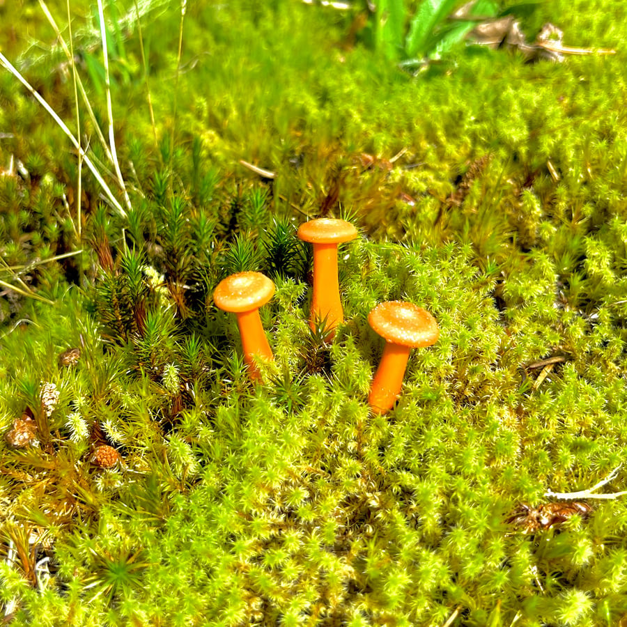 Image of 3 Orange Mushroom Plant Spikes