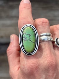 Image 2 of Large Hubei Turquoise Ring 