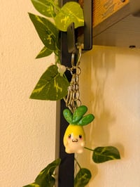 Image 2 of Baby Radish 