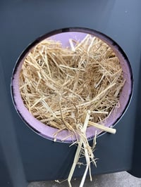 Image 10 of "Purricane Vault" Rapid Insulated Self-Warming Outdoor Cat Shelter