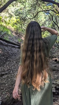 Image 4 of Rosemary & Nettle Shampoo Bar