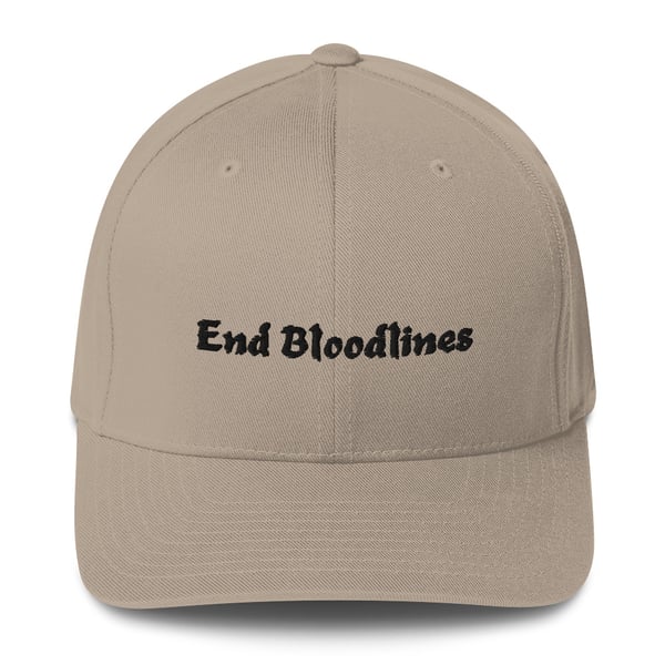 Image of End Bloodlines Hat