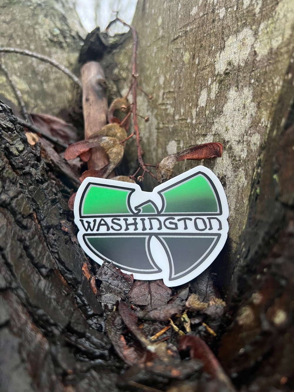 Washington 