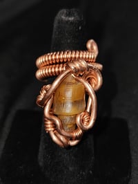 Adjustable Fossil Shell Carnelian Ring #4, Western Sahara, Morocco