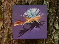 Image 3 of Flies (Options)