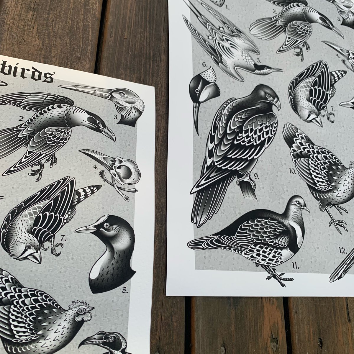 BIRDS - print A4