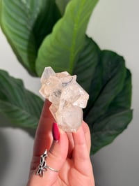 Image 1 of BOWTIE STILBITE X DIAMOND APOPHYLITE -INDIA- J