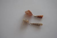 Image 2 of Nude & Orange Shell Dangles 