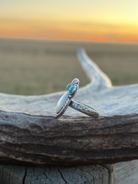 Image 2 of The Painted Prairie