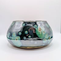 Image 3 of Succulent Pot with Plant