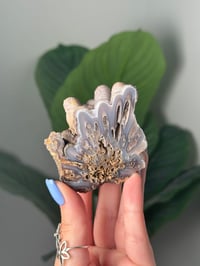 Image 1 of FUNKY STALACTITE PSEUDOMORPH LAGUNA AGATE