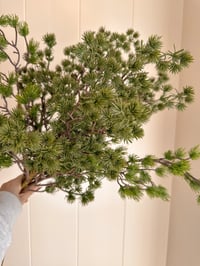 Image 1 of The Winter Bouquet ( 6 sprays included )