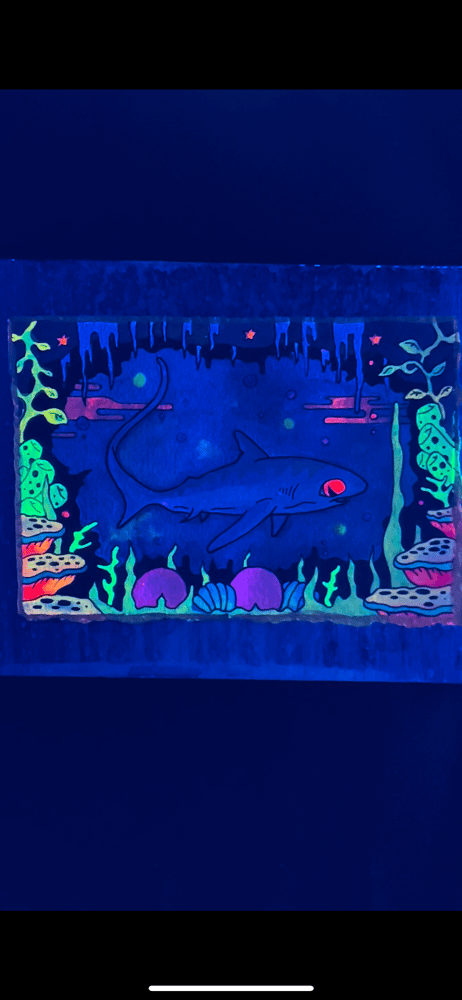 Image of “The Adventures of Mortimeer”