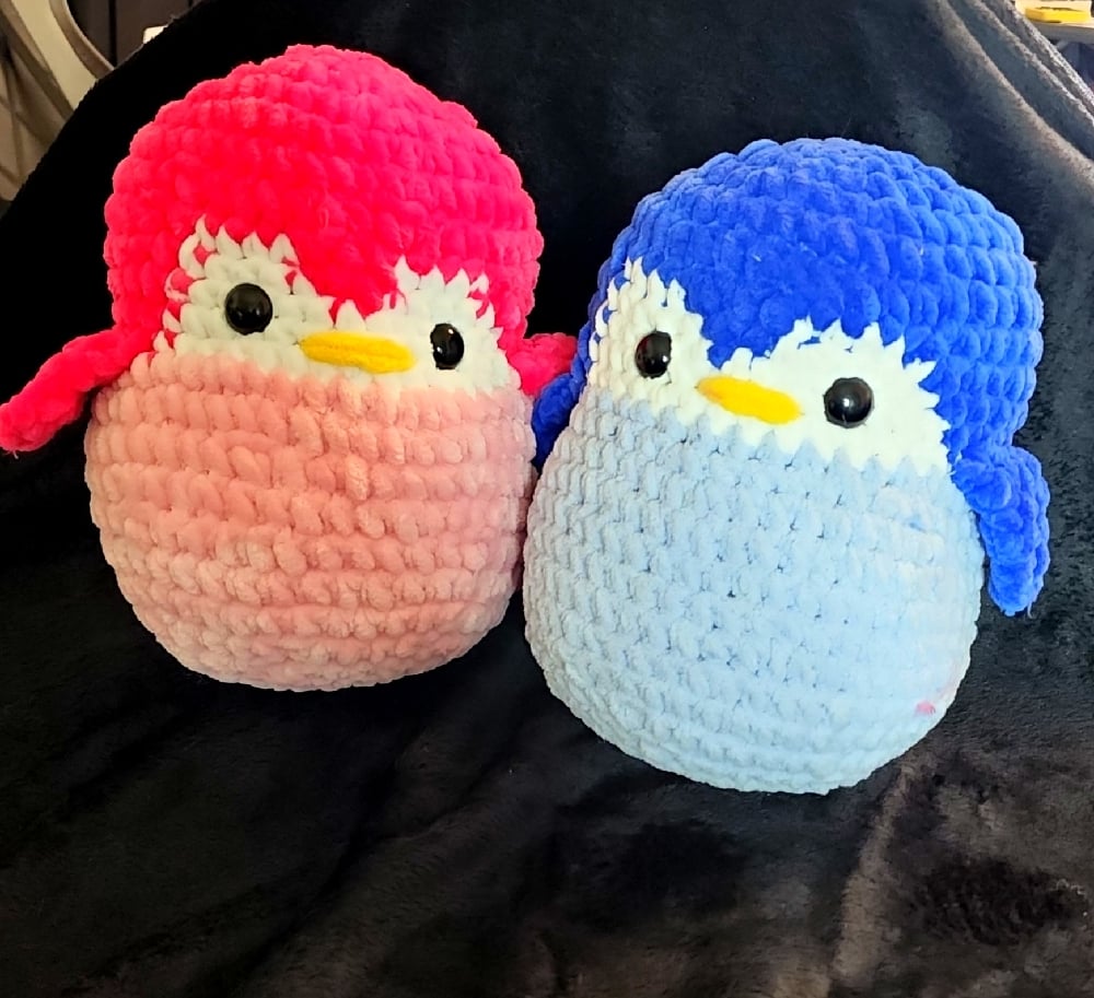Image of Penguins