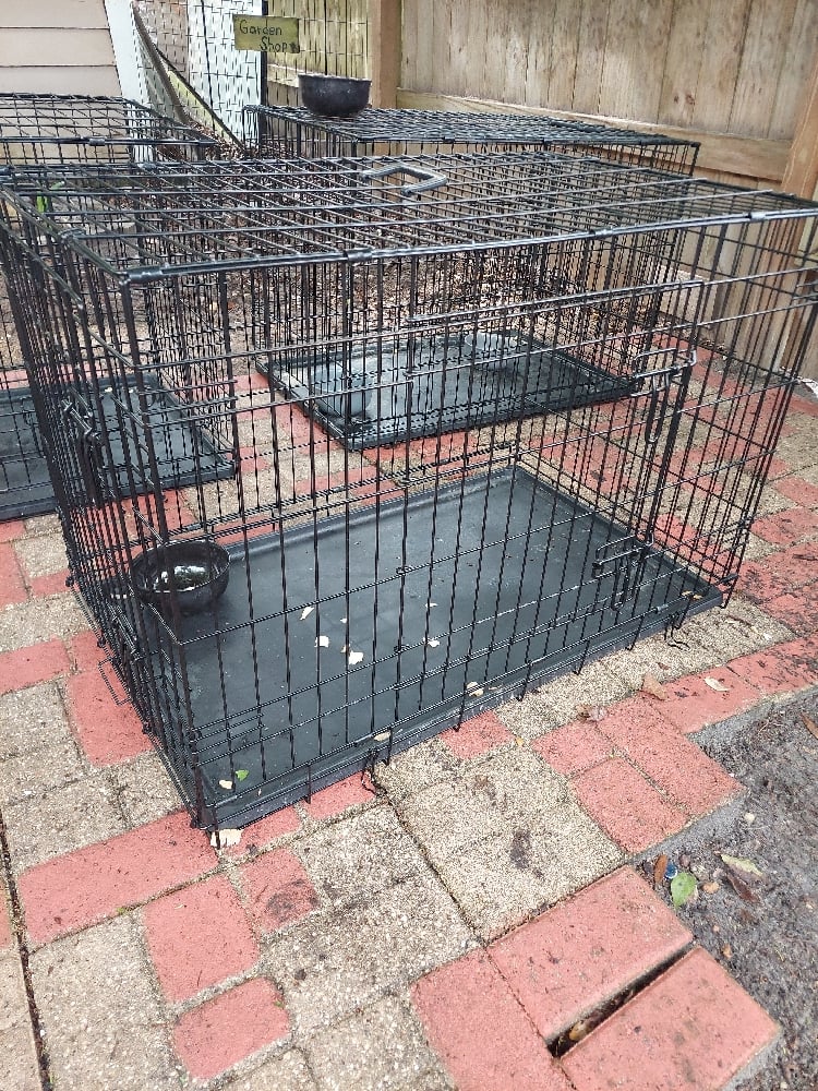 Image of Metal Cages (2door)