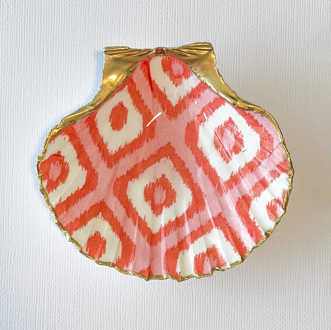 Image of Coral Cove - Medium Trinket Shell