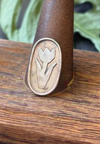 Image 1 of Tulip #2