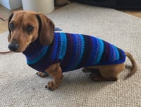 Image 1 of Snazzy Blues