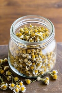 Botanically Infused Chamomile Tallow Balm