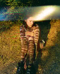 Image 3 of Tiger 