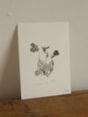 Common Dog-Violet - A6 - Original Botanical Monoprint