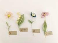 Image 1 of cocon flowers