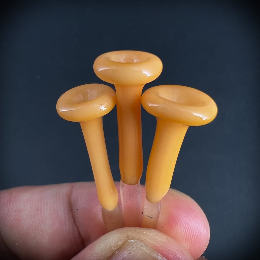Image of 3 Mini Fairycup Mushroom Plant Spikes