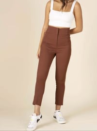 Skinny Leg Pants Brown