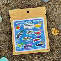 Image 2 of Mystery Mini Sea Slug Acrylic Keychain FULL SET