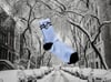Cozy High Socks