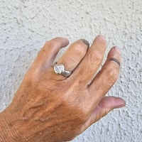 Image 1 of Classic Sparkle, US 6