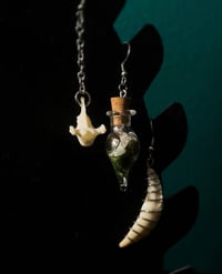 Image 2 of Oddity Jar Earrings