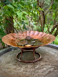 Image 1 of Scallop Shell Bowl