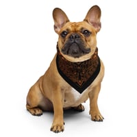 Image 4 of DOC / Prison Orange Bandana - Orange on Black
